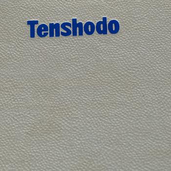 TENSHODO, ånglok, SJ 1306, 1950/60-tal.