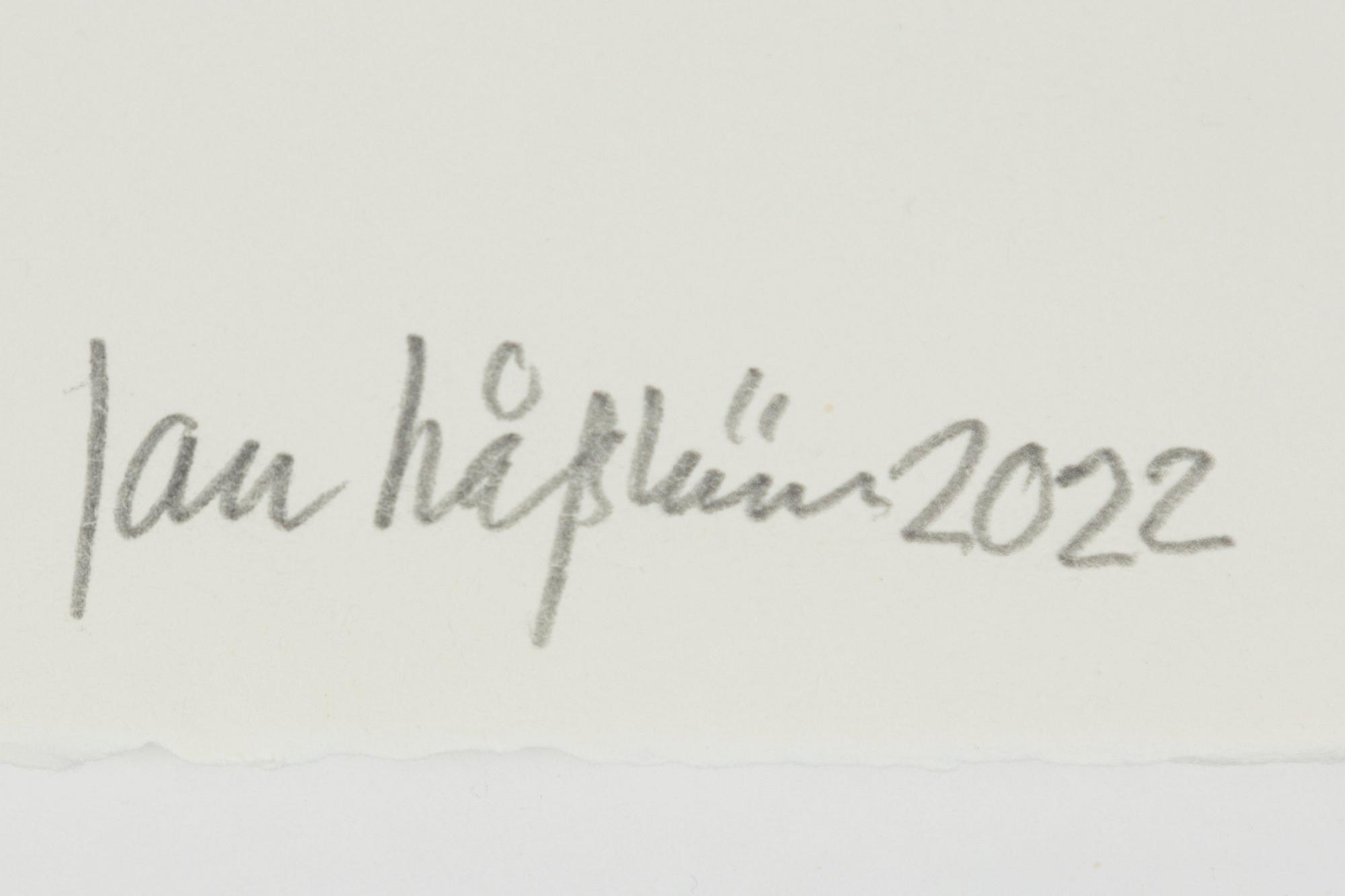 Jan Håfström, "Sudden Fear".