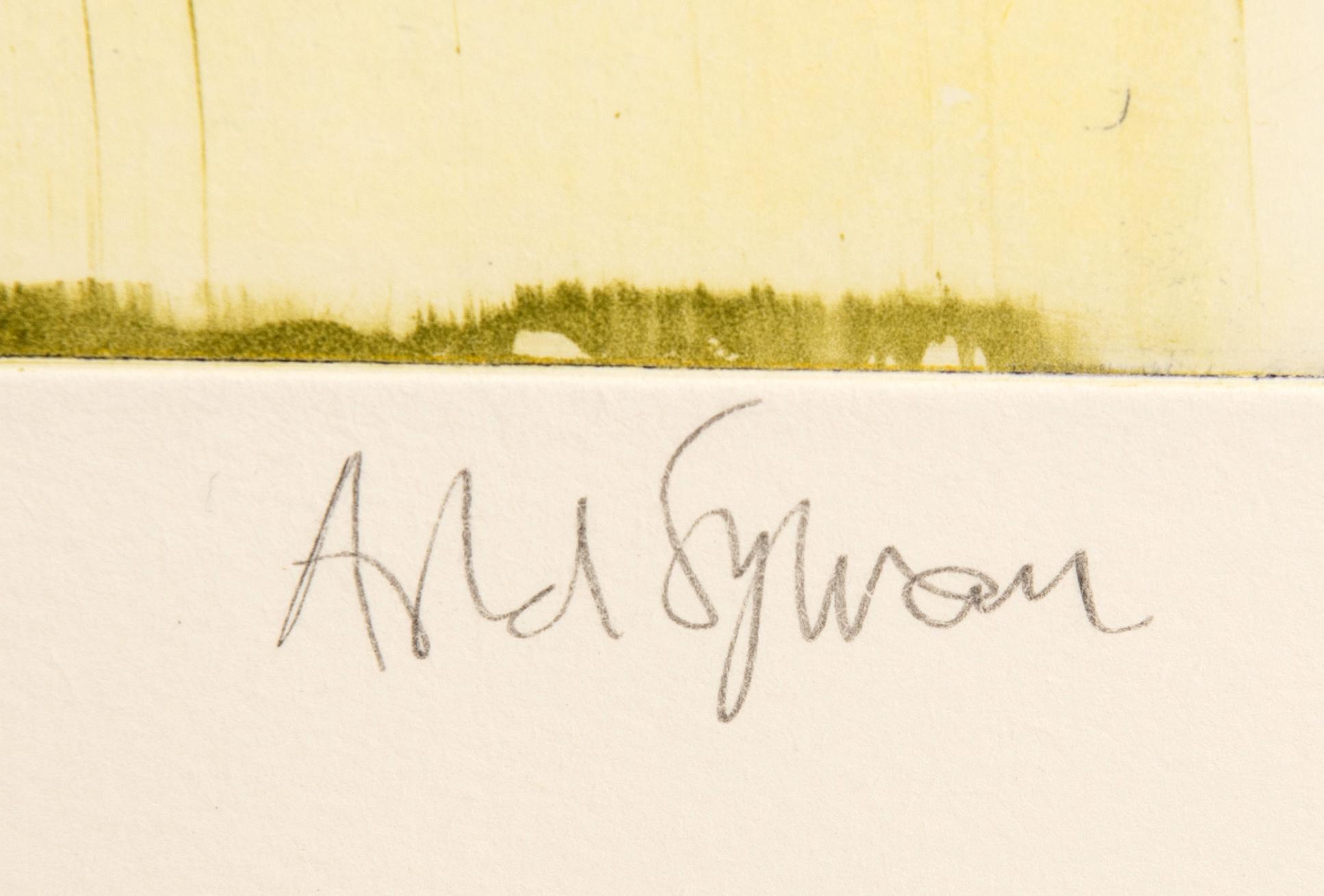 Astrid Sylwan, utan titel.