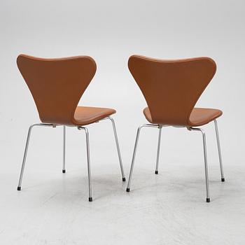 Arne Jacobsen, stolar, 6 st, "sjuan", Fritz Hansen, Danmark, sent 1900-tal.