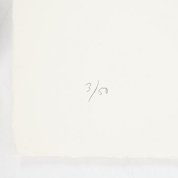 Jan Håfström, färgetsning, 2020, signerad 3/50.