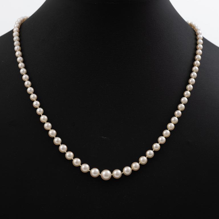 Necklace, with graduated cultured pearls, clasp in 9K gold with English hallmarks from Birmingham, set with a ruby.