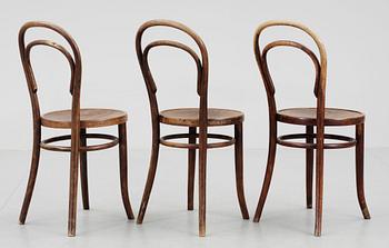 STOLAR, 3st, Thonet. 1900-talets fösta hälft.