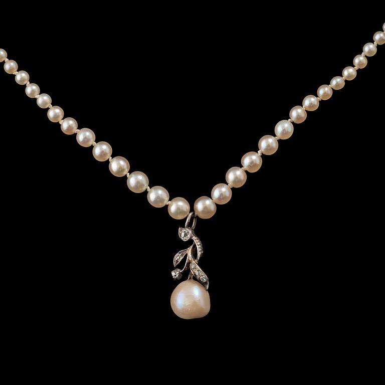 A pearl necklace. Possibly oriental pearls.