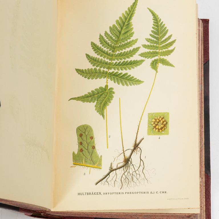 C.A.M Lindman, books, 3 volumes, "Bilder ur Nordens Flora",  Wahlström & Widstrand, 1922-1926.