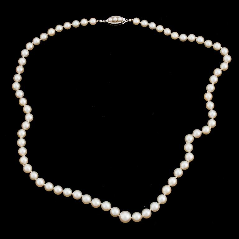 A necklace of cultured pearls with an 18K gold clasp.