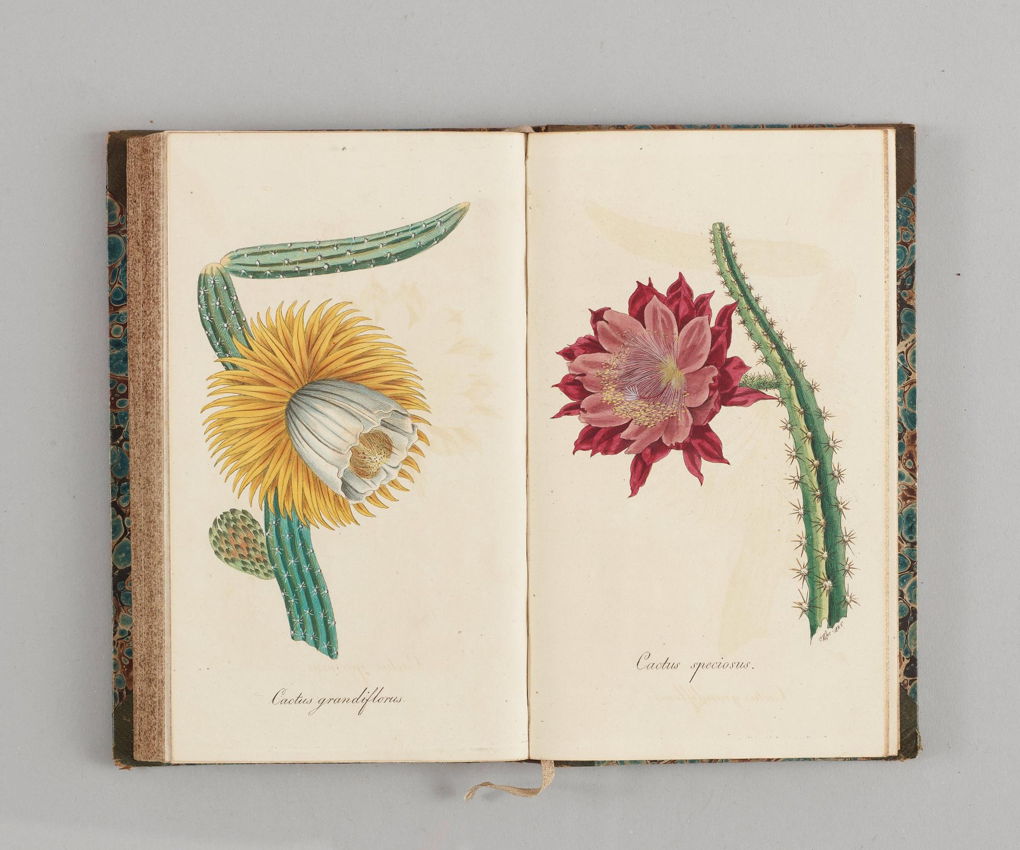 J. E. VON REIDER, Annalen Der Blumisterei für gartenbesitzer, Kunstgärtner, Saamenhändler und Blumenfreunde, 12 vol.
