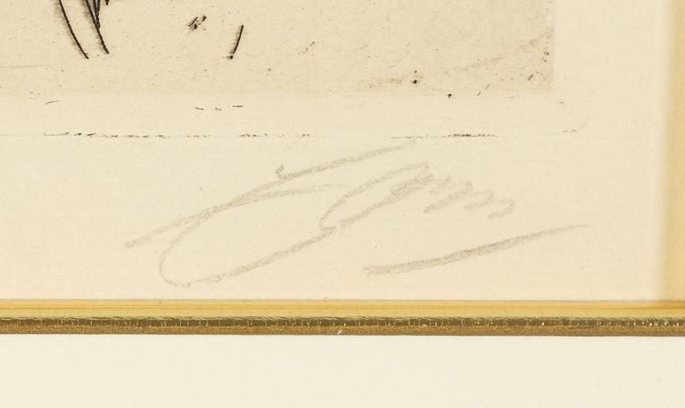 Anders Zorn, "Auguste Rodin".