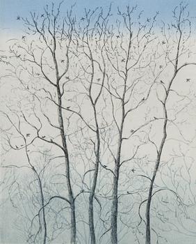 INARI KROHN, etsning, signed and dated 2002, numbered 36/40.