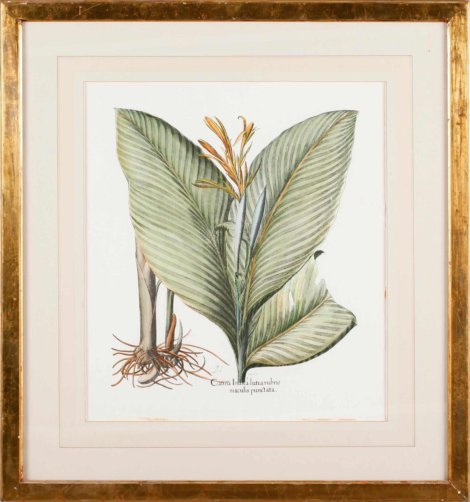 TAVLOR, 6 st, tryck, 1900-talets andra hälft.