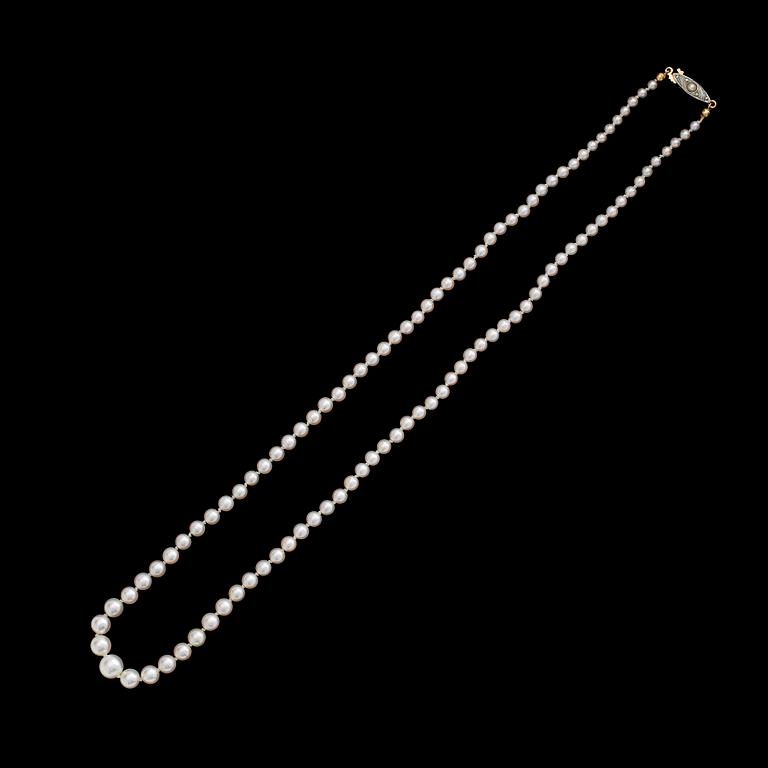 COLLIER, odlade saltvattenspärlor, lås i 18 k guld/silver.