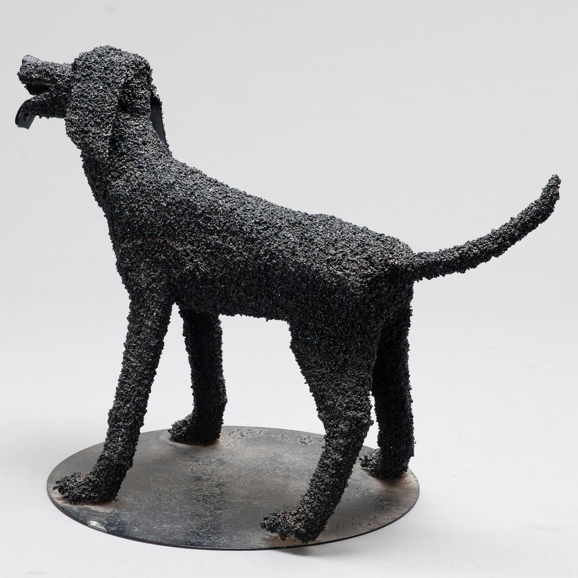 Timo Ruokolainen, HUND.