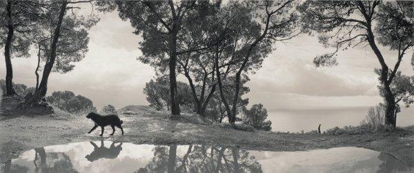 Pentti Sammallahti, "Cilento, Italien", 1999.