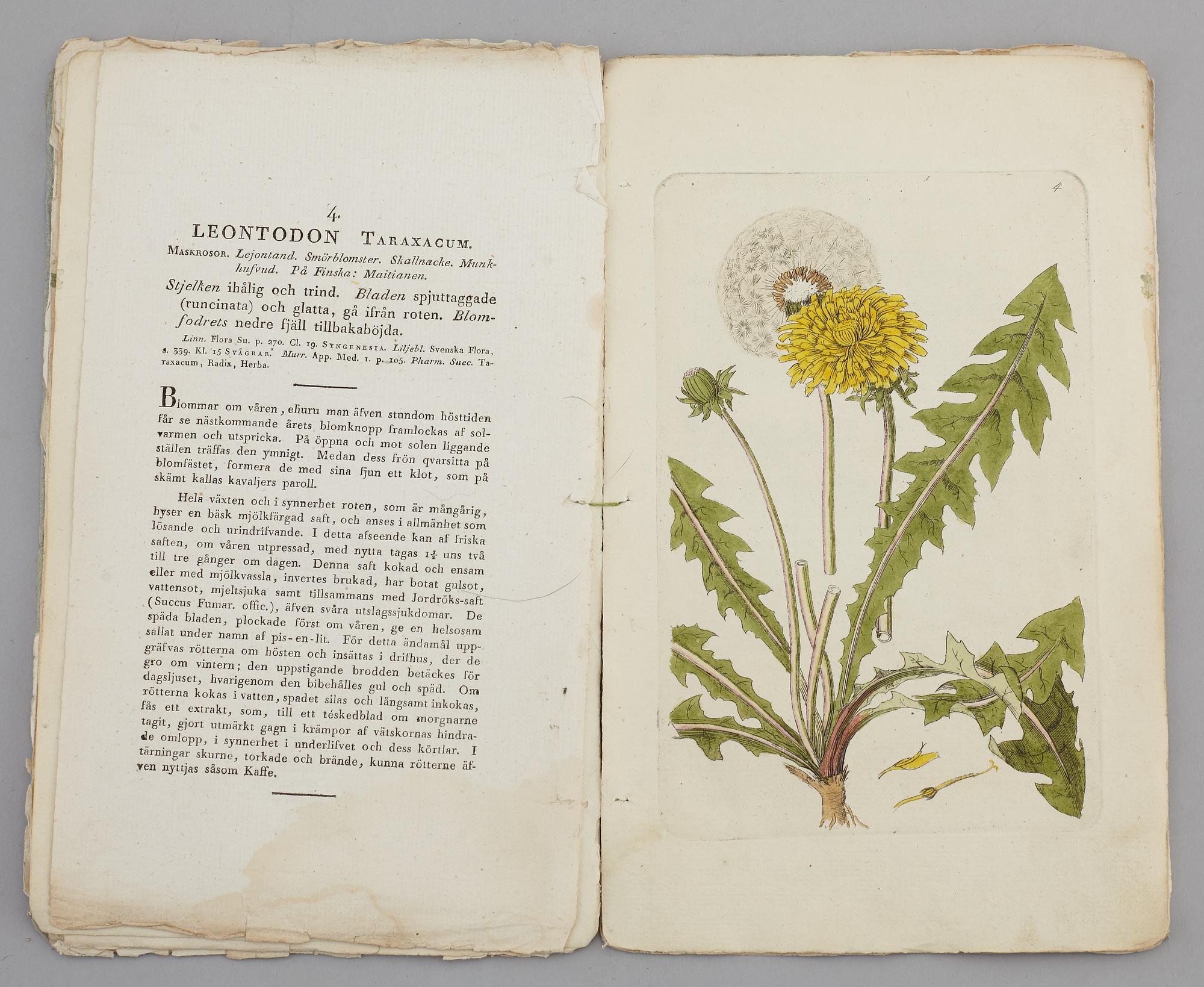 JOHAN WILHELM PALMSTRUCH, "Svensk Botanik, vol I-V. 1803-1805.