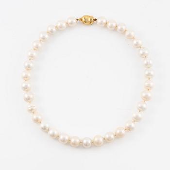 Pearl necklace, cultured freshwater pearls, clasp by Jarl Sandin in 18K gold with small brilliant-cut diamonds.