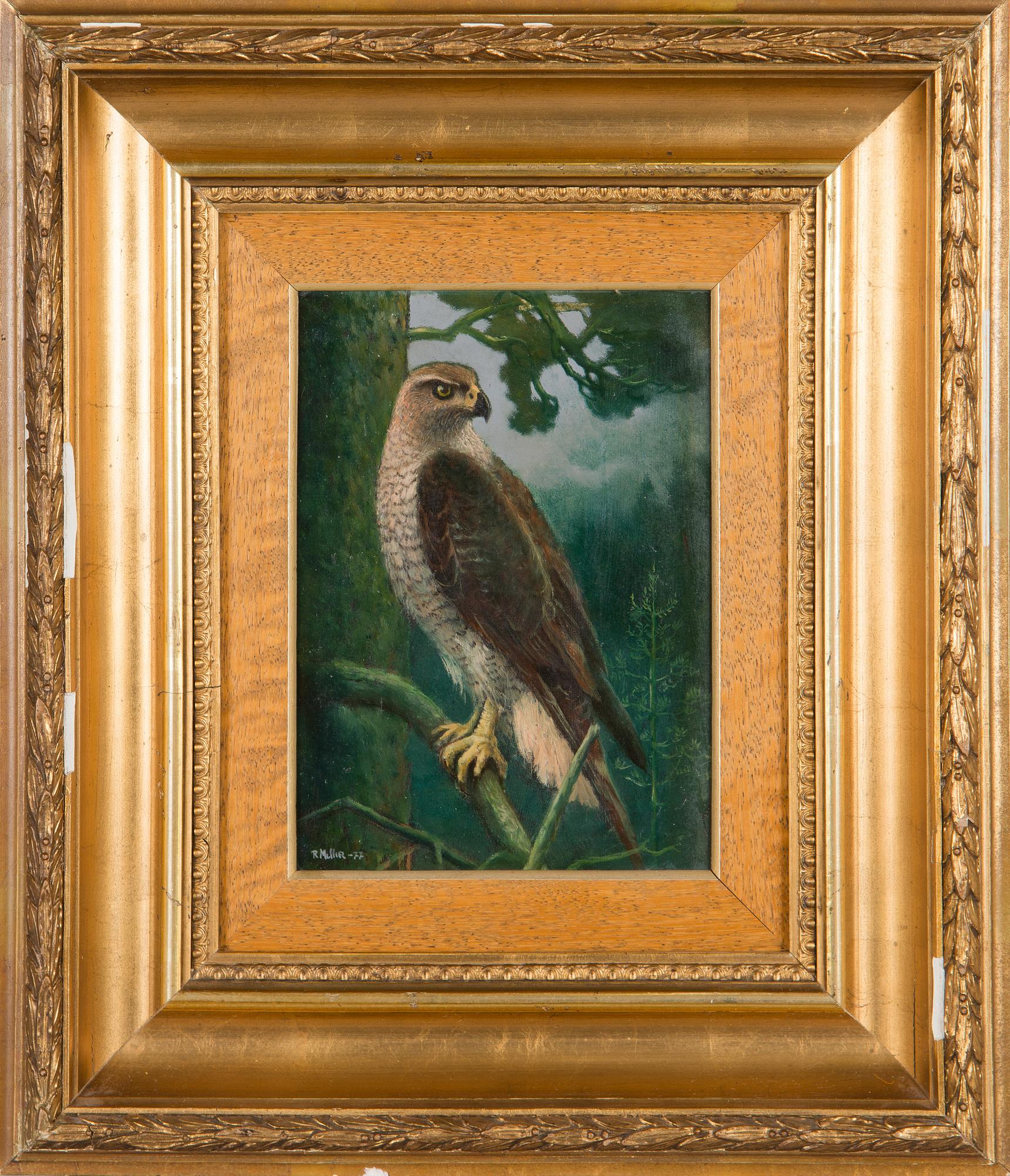 Reijo Meller, Hawk.