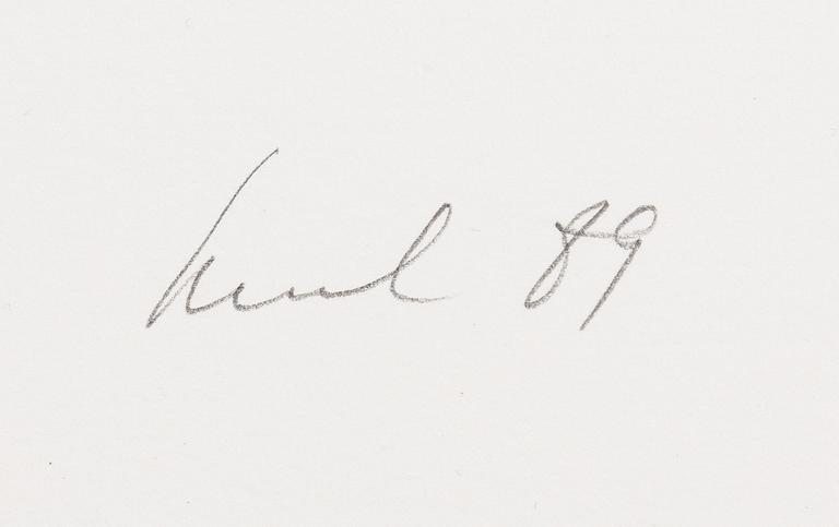 Raul Meel, "Windows and Landscape 2".