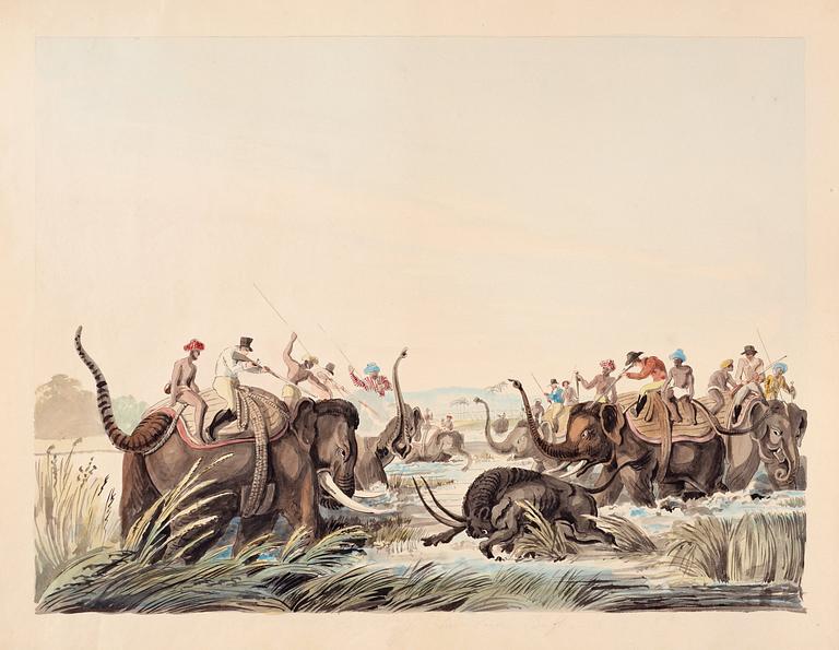 Hunting scene with buffalo.