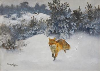 555. Bruno Liljefors, Fox in a winter landscape.