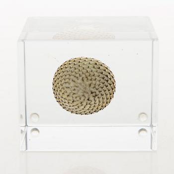 OIVA TOIKKA, An annual glass cube, signed Oiva Toikka Nuutajärvi 2009 and numbered 438/2000.