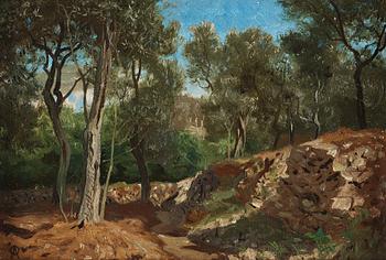 543. Olof Arborelius, Olive grove, Capri.