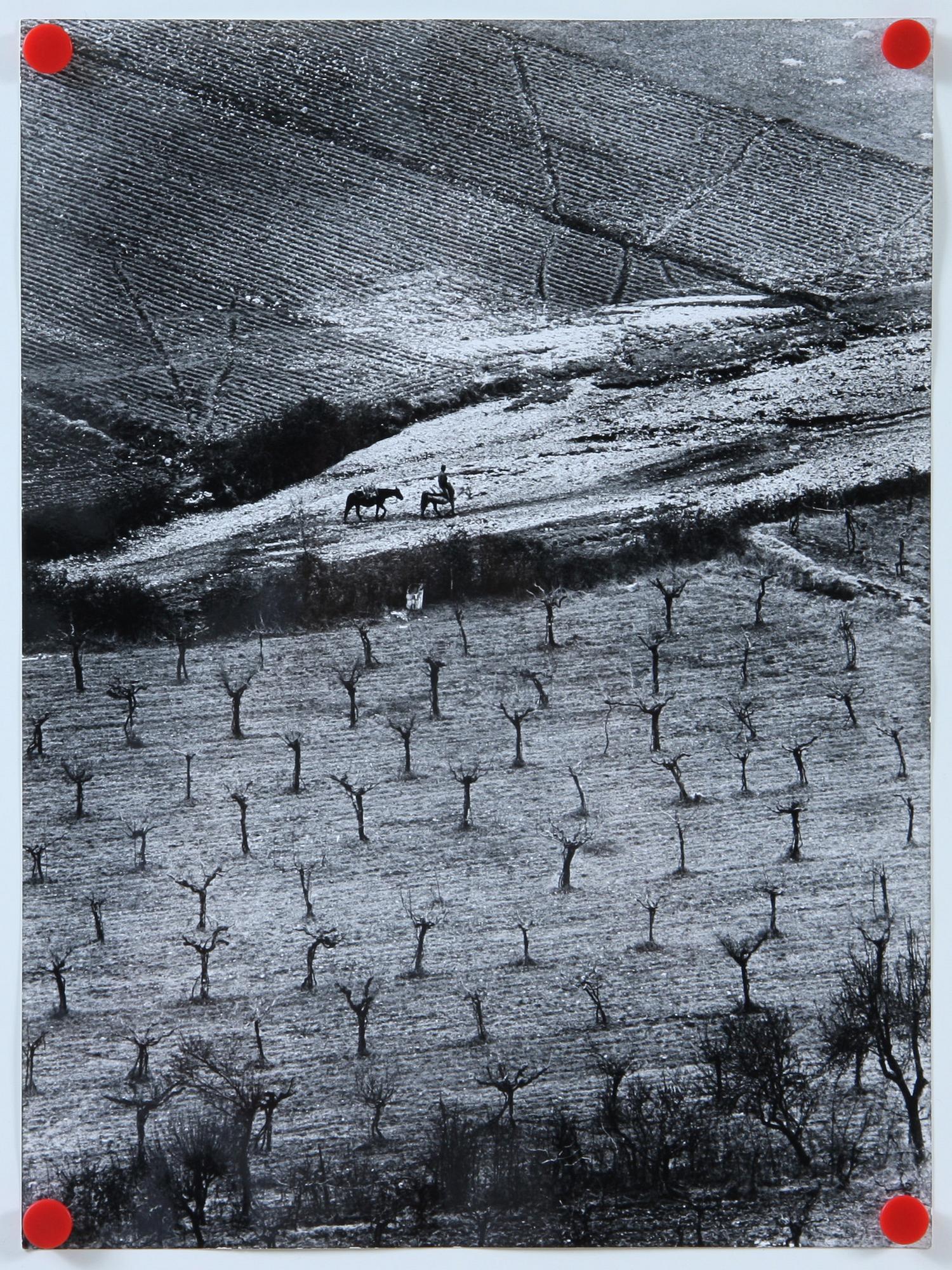 PEPI MERISIO, 3 st, fotografi, 2 sign samt 1 stämpelsign a tergo.