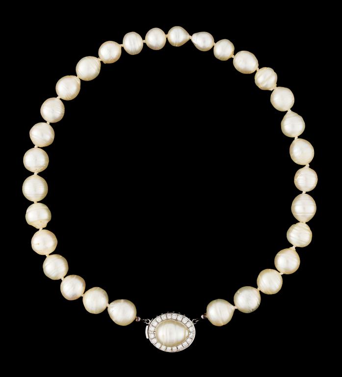 COLLIER SOUTH SEAPÄRLOR  MED DIAMANTLÅS,
