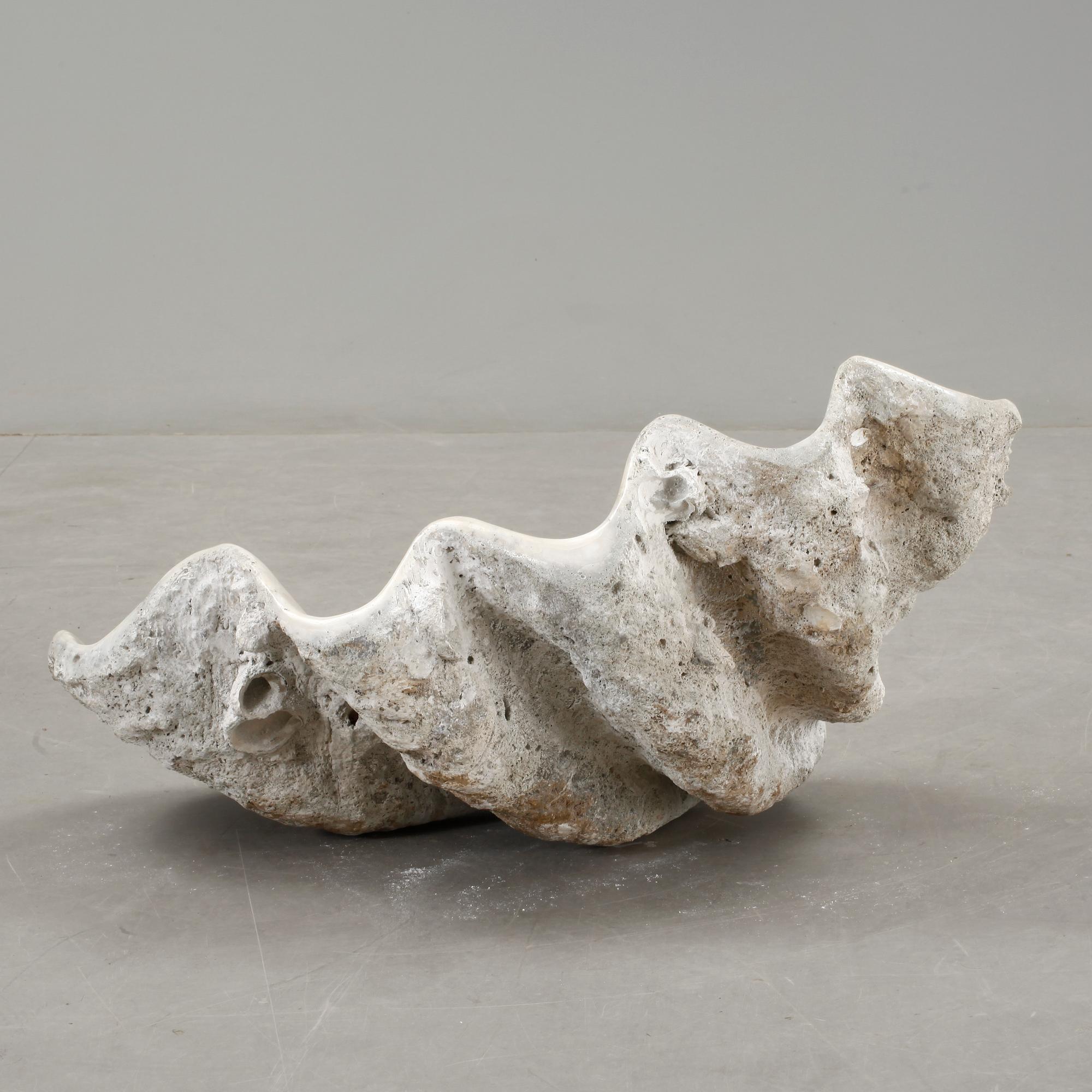 MUSSLA, fossil.