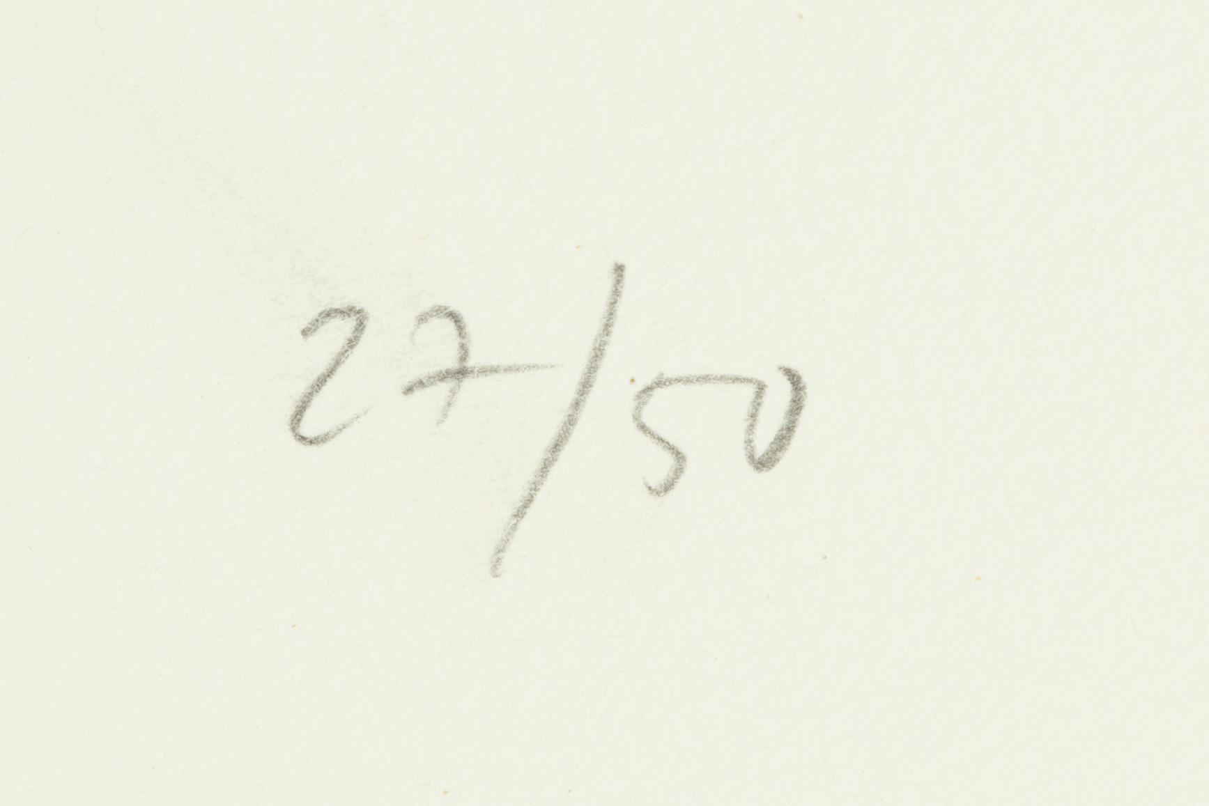 Jan Håfström, "Material från Arkivet IV".