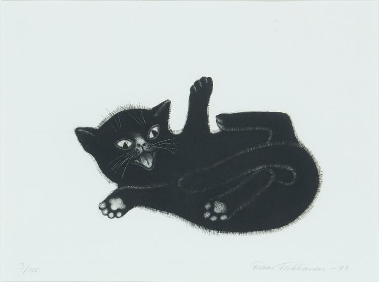 Frans Toikkanen, "Sähinää".