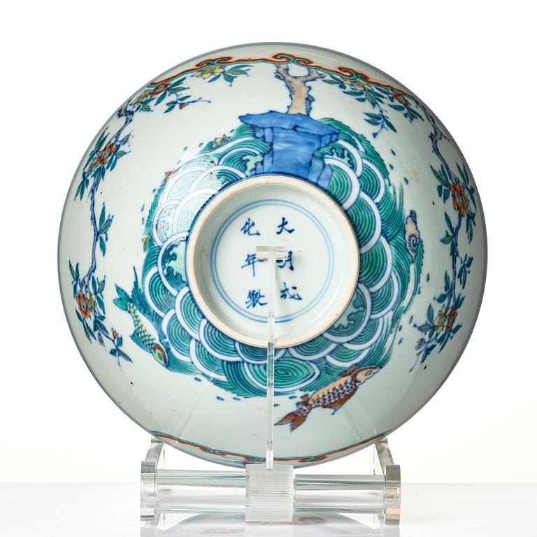 A doucai carp bowl, Qing dynasty, early 18th Century.