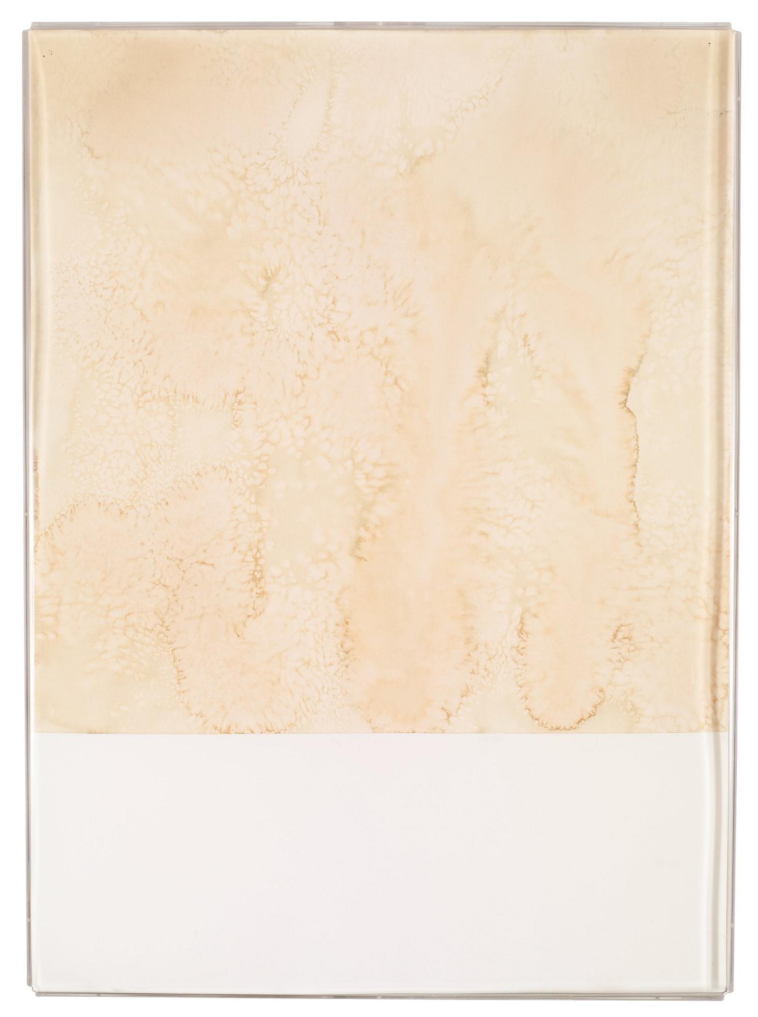 Susan Weil, "Tidal Schah".