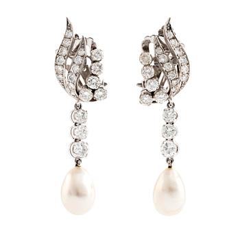 A pair of 18K white gold earrings with cultured pearls.