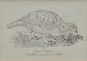 WILHELM VON WRIGHT, blandteknik, signerad och daterad 1872.