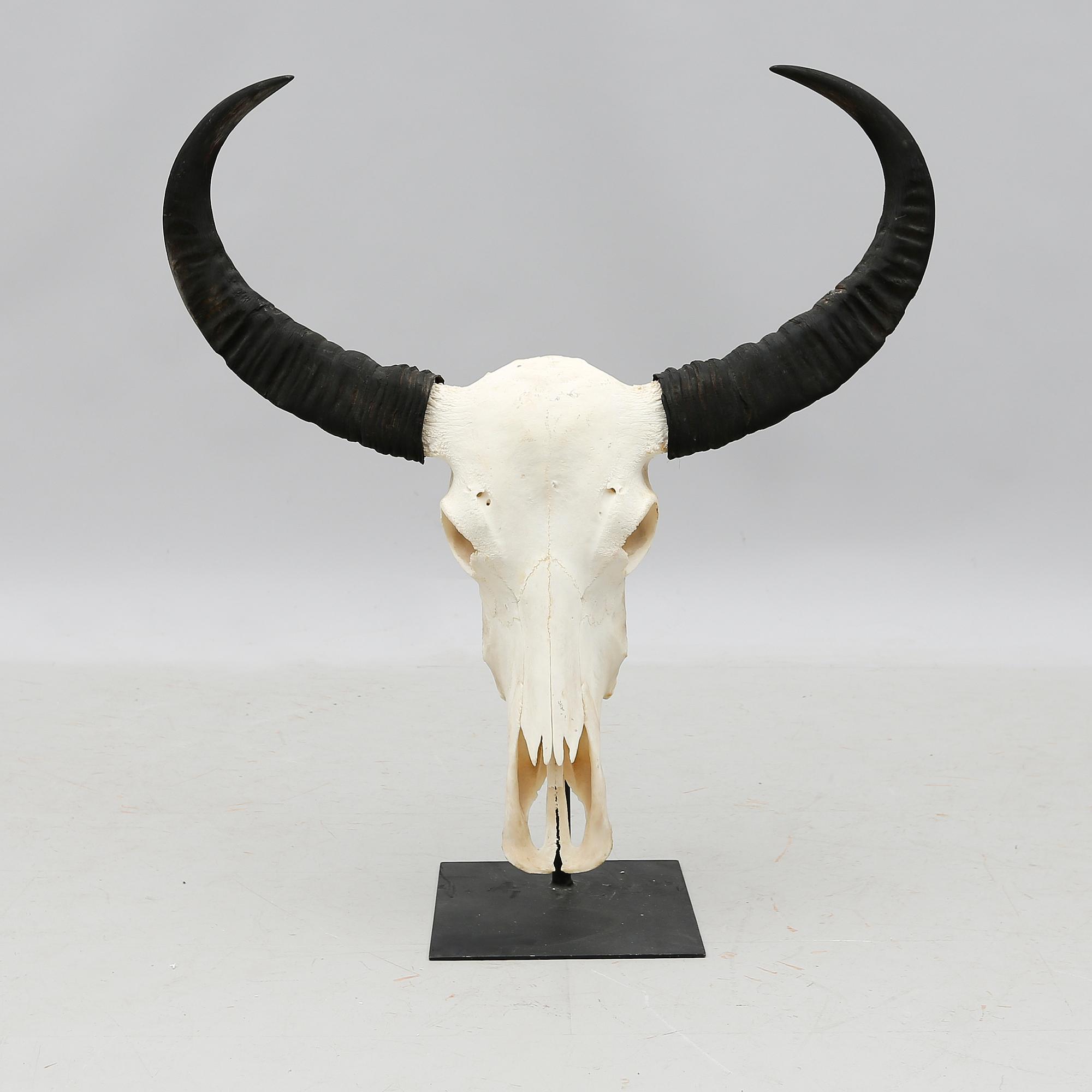 SKULPTUR, 2000-tal.