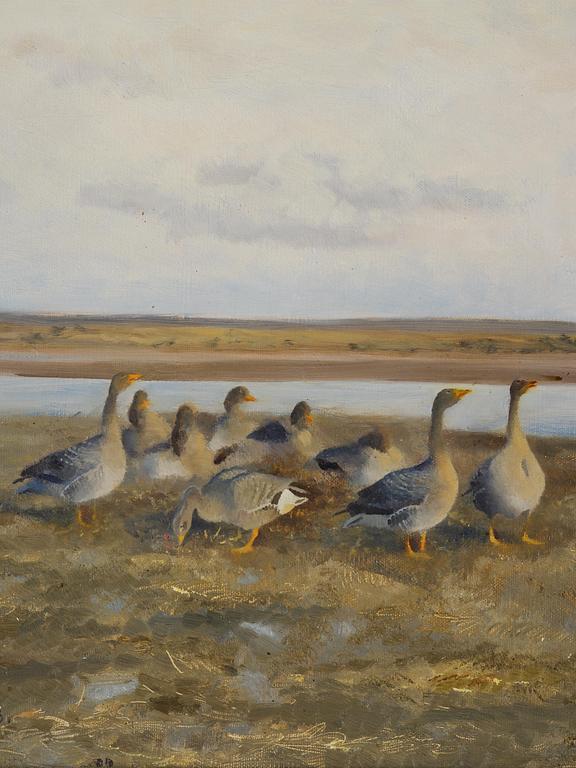 Bruno Liljefors, Landscape with geese.
