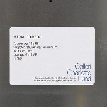 Maria Friberg, "Blown Out",1999.