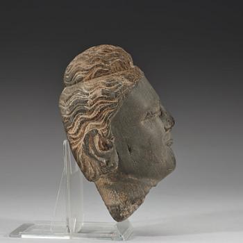 HUVUD, sten. Gandhara, troligen 200/300-tal.
