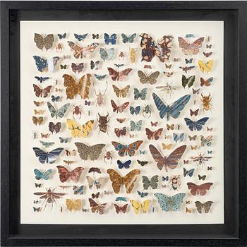 Helen Ward, "Paper Entomology".