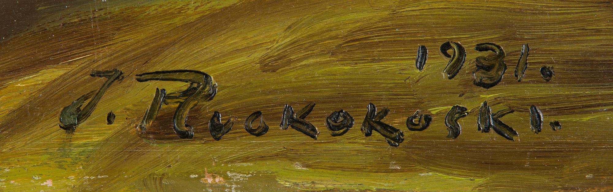 Jalmari Ruokokoski, Vy från landsbygden.