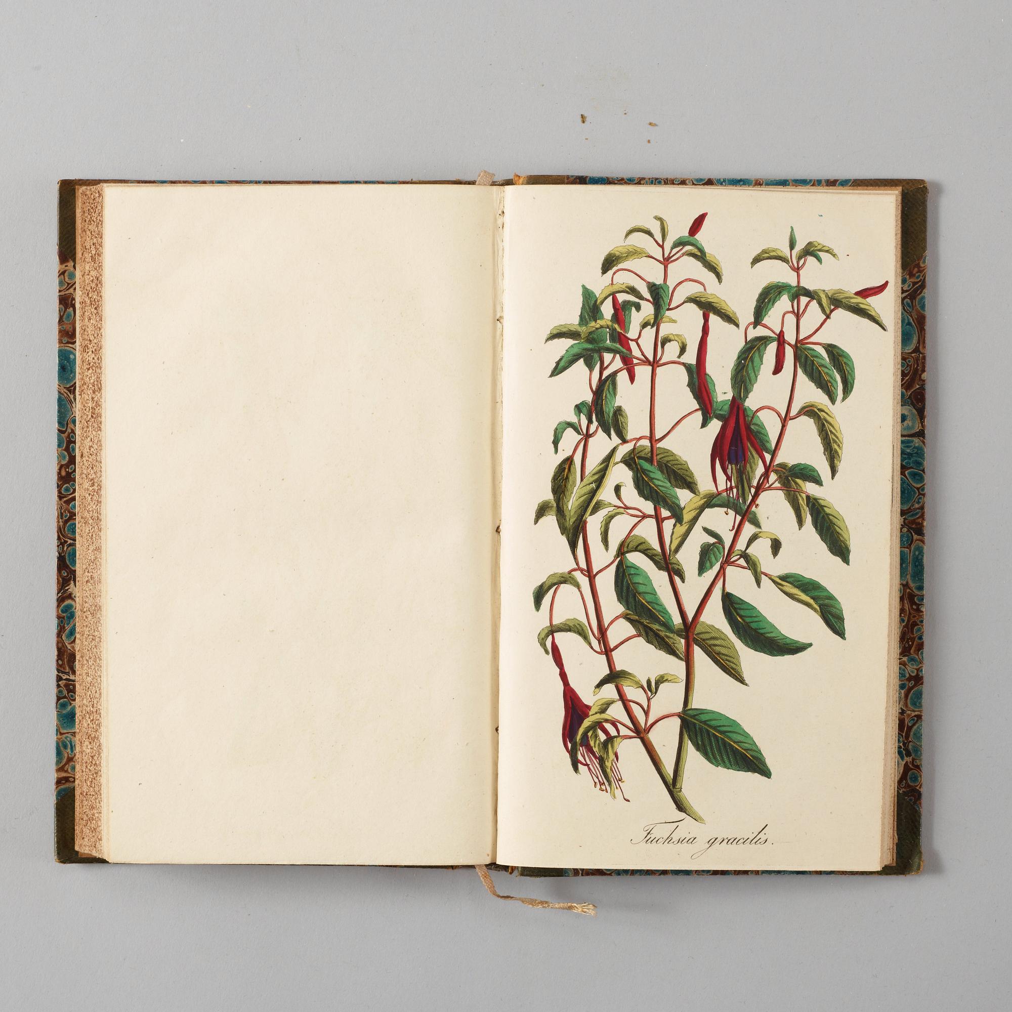 J. E. VON REIDER, Annalen Der Blumisterei für gartenbesitzer, Kunstgärtner, Saamenhändler und Blumenfreunde, 12 vol.