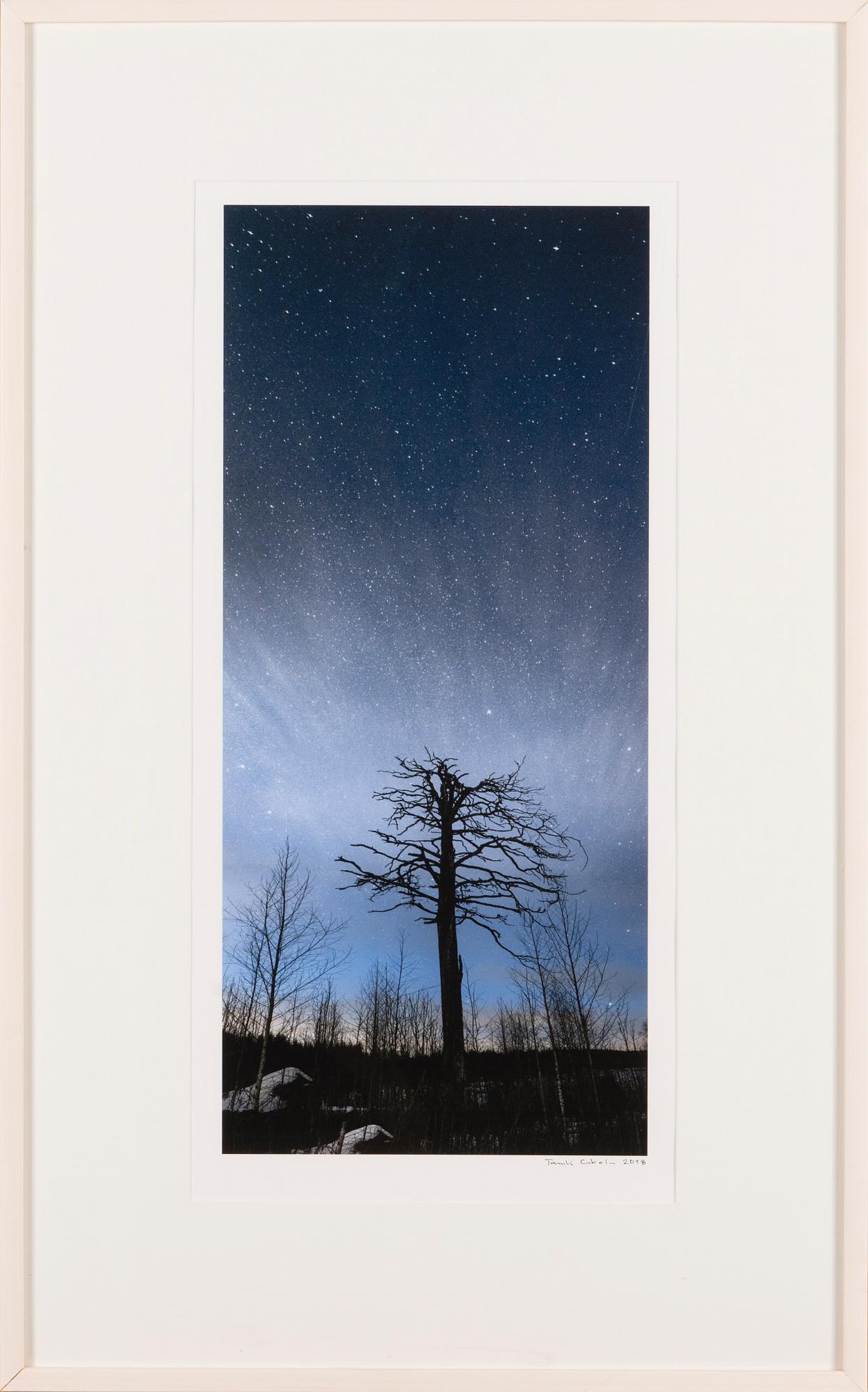 TANELI ESKOLA, "ÖINEN KELO".