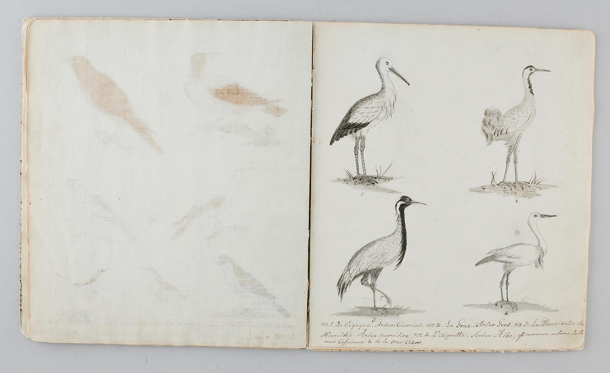 HÄFTE, 1800-tal, teckningar.