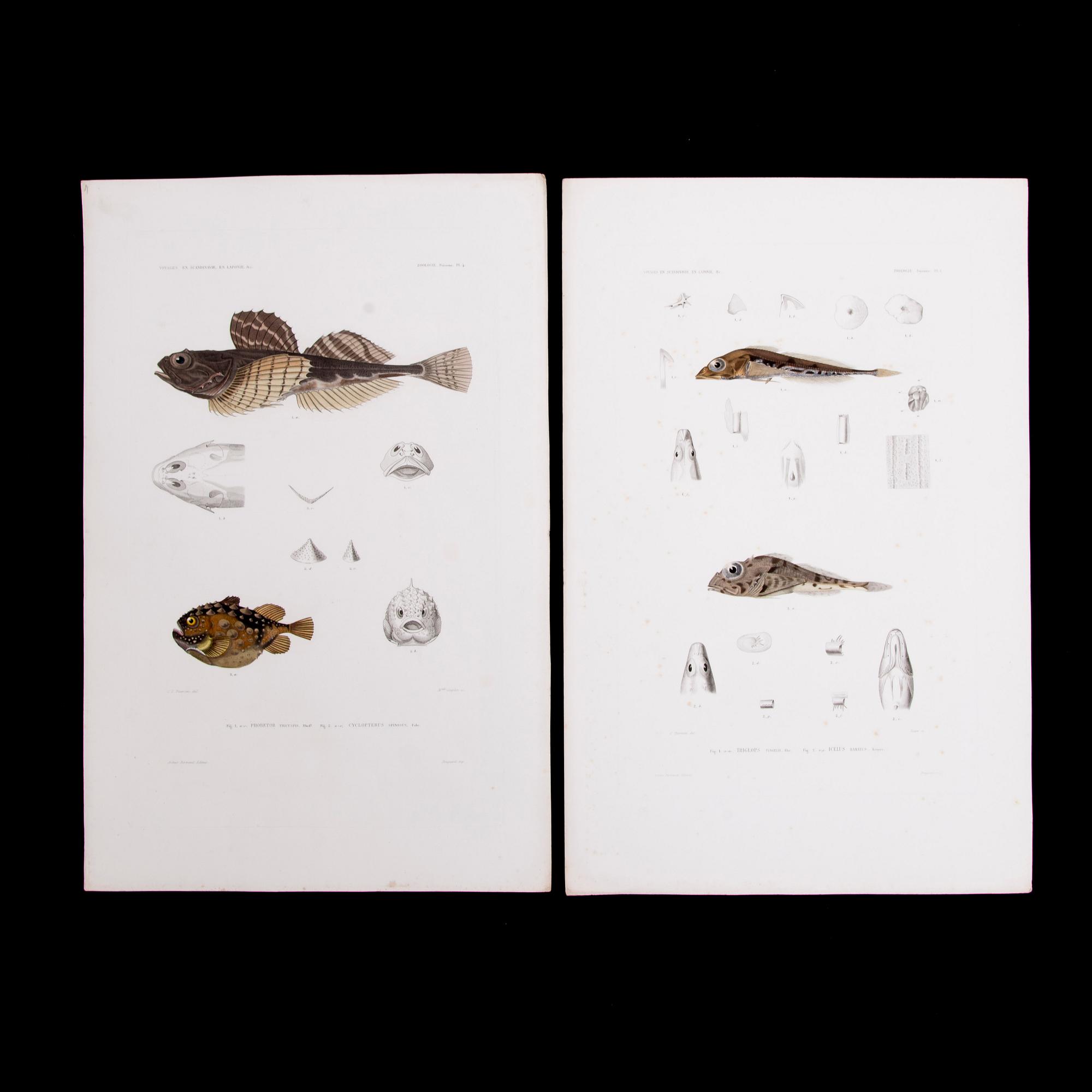 KROMOLITOGRAFIER, 20 st, 1800-talets första hälft.