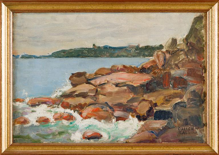 Jorma Gallen-Kallela, Kustvy.