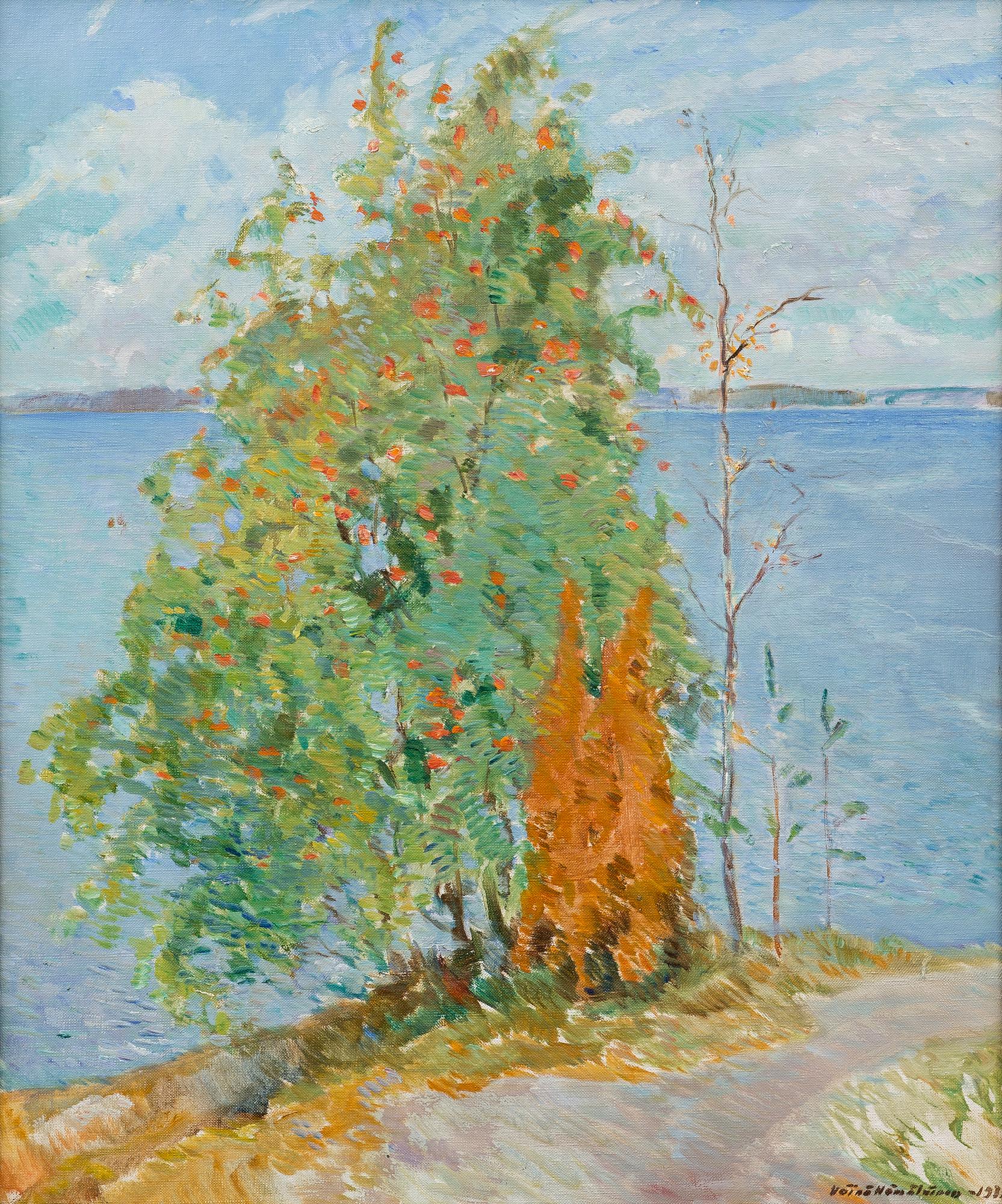 VÄINÖ HÄMÄLÄINEN, MYÖHÄISKESÄINEN PÄIVÄ.