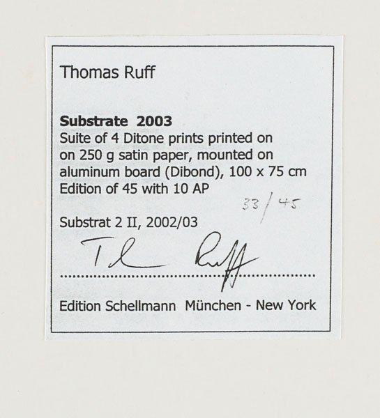 Thomas Ruff, "Substrate 2 II", 2003.