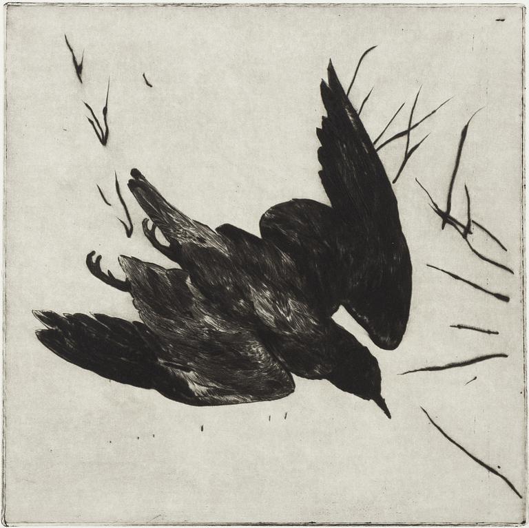 Hans Wigert, Fågel.