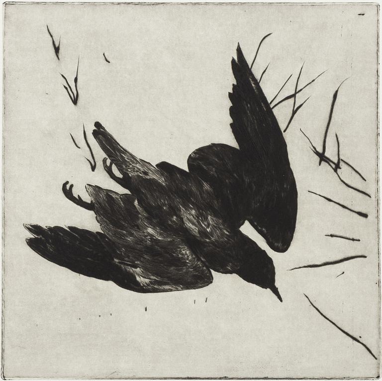 Hans Wigert, bird.