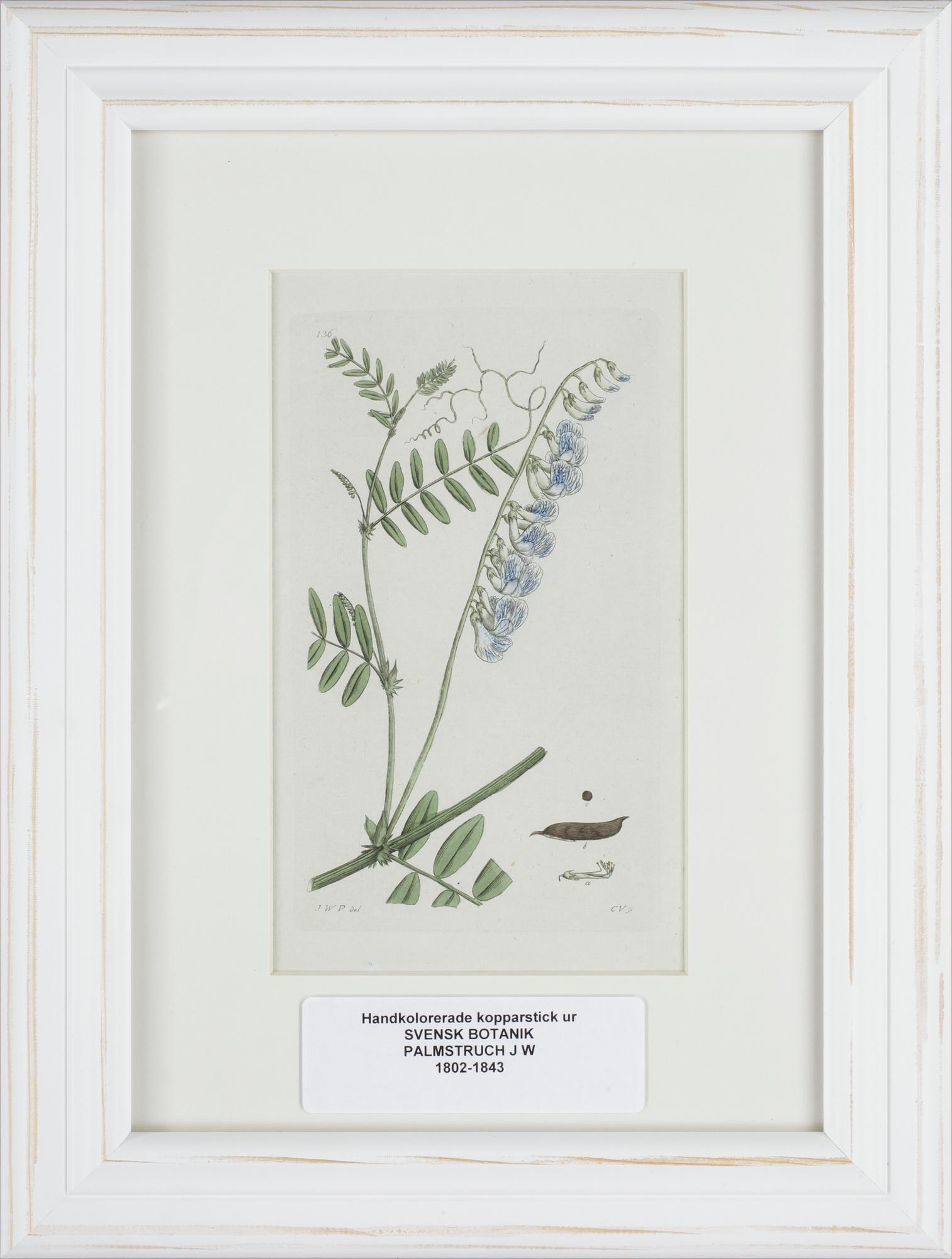 JOHAN WILHELM PALMSTRUCH, 6 st, handkolorerade kopparstick, 1800-talets första hälft.